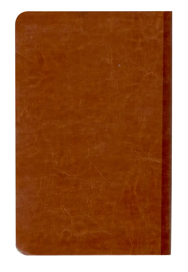 CONTRAPORTADA (41).webp