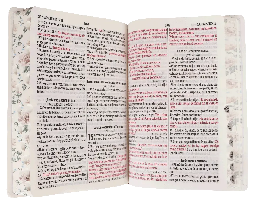 CONTENIDO (29).webp