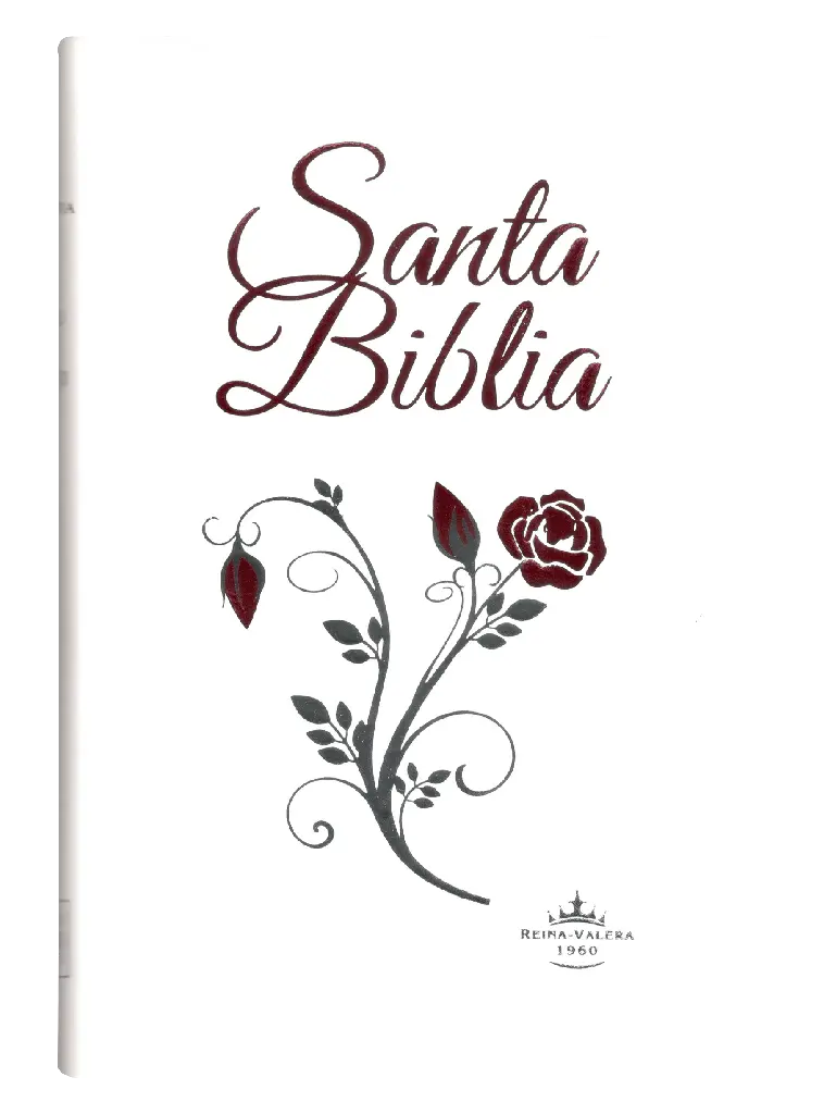 PORTADA (41).webp