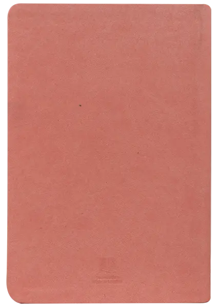 Biblia Reina Valera Contemporánea Mediana Letra Grande Imitación Piel Rosa QR [RVC066cLG PJR] (2).webp