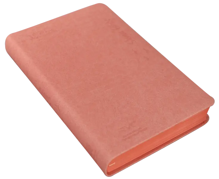 Biblia Reina Valera Contemporánea Mediana Letra Grande Imitación Piel Rosa QR [RVC066cLG PJR] (3).webp