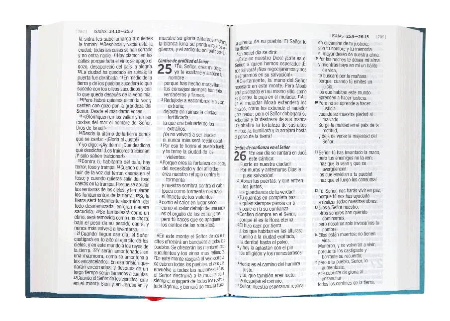 CONTENIDO (33).webp