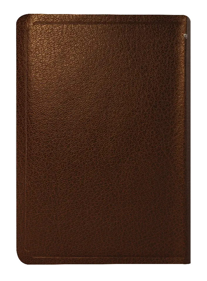 CONTRAPORTADA (46).webp