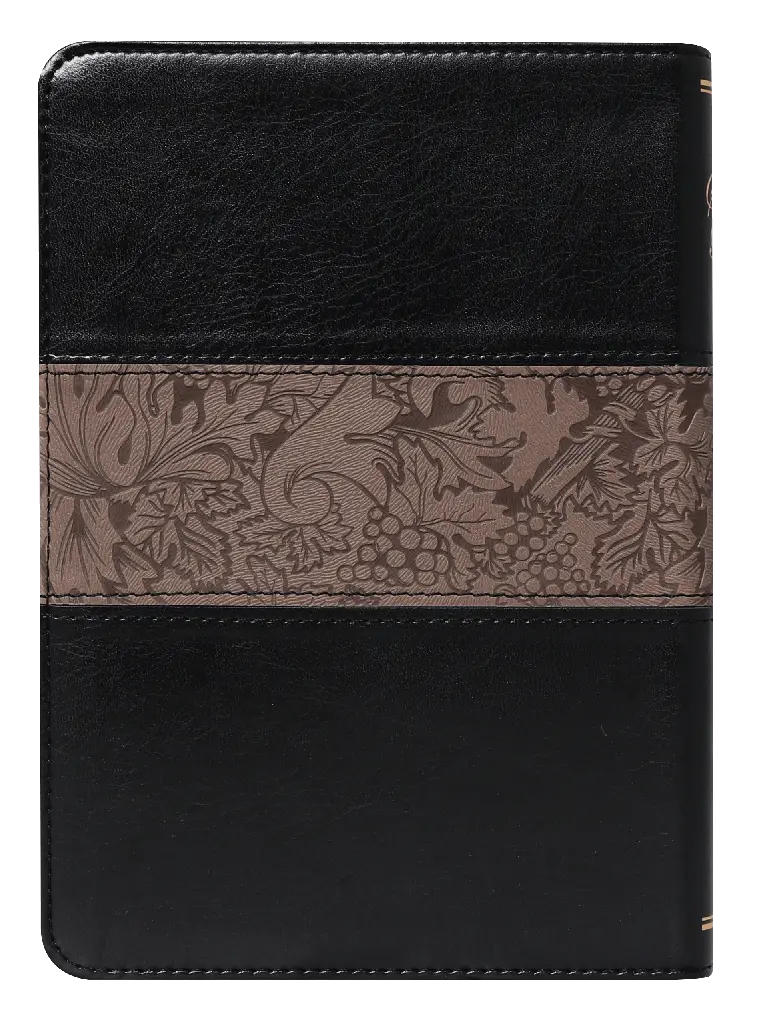 CONTRAPORTADA (47).webp