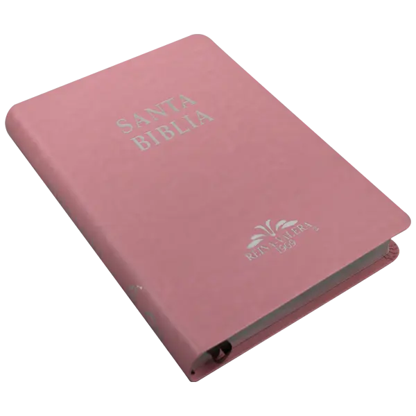 Biblia Reina Valera 1909 Grande Rosa [VR085LM] (2).webp