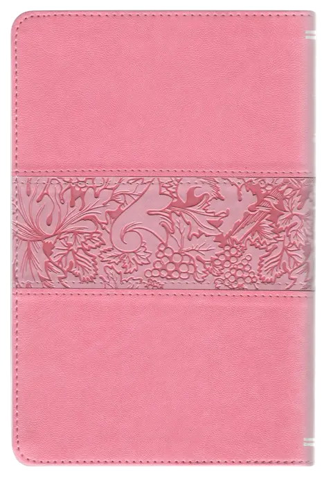 CONTRAPORTADA (10).webp