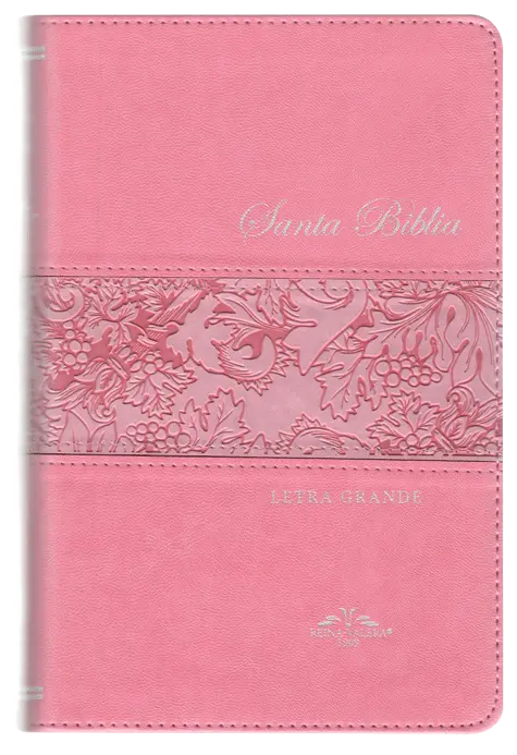 PORTADA (7).webp