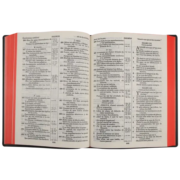 Biblia Reina Valera 1909 Grande Vino [VR082LM].webp