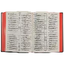 Biblia Reina Valera 1909 Grande Vino [VR082LM].webp