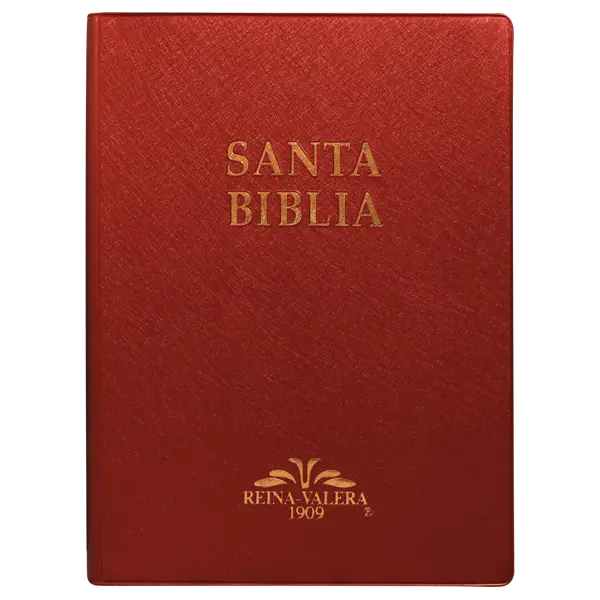 Biblia Reina Valera 1909 Grande Vino [VR082LM] (1).webp