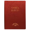 Biblia Reina Valera 1909 Grande Vino [VR082LM] (1).webp