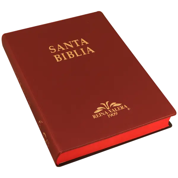 Biblia Reina Valera 1909 Grande Vino [VR082LM] (2).webp