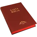 Biblia Reina Valera 1909 Grande Vino [VR082LM] (2).webp