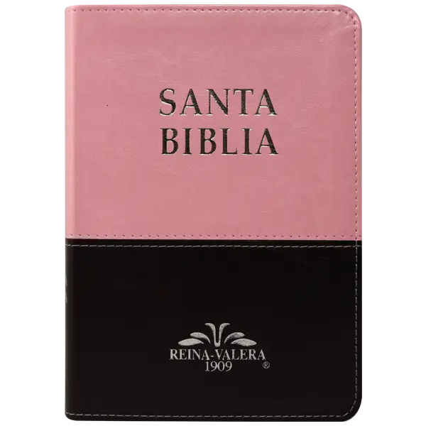 Biblia Reina Valera 1909 Mediana Rosa-Café VR055TI (1).webp