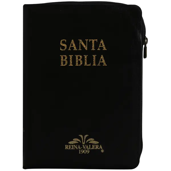 Biblia Reina Valera 1909 Mediana Negro [VR059ZTI] (1).webp
