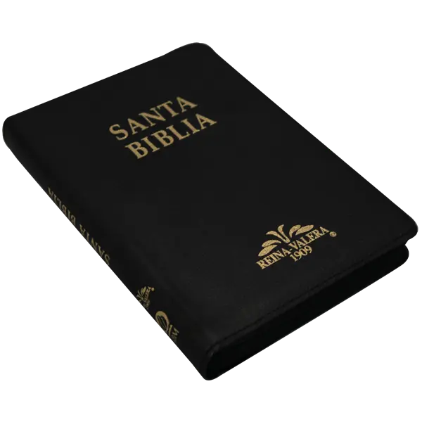 Biblia Reina Valera 1909 Mediana Negro [VR059ZTI] (2).webp