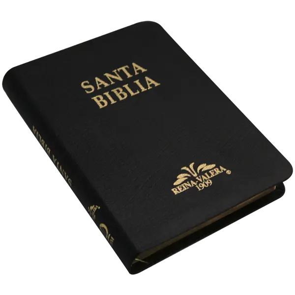 Biblia Reina Valera 1909 Mediana Negro [VR059TI] (2).webp