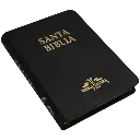 Biblia Reina Valera 1909 Mediana Negro [VR059TI] (2).webp