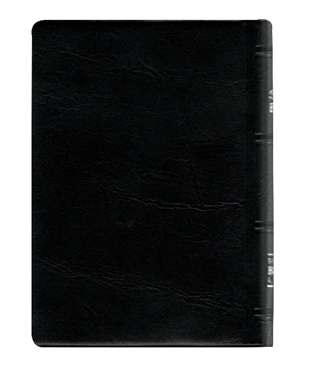 CONTRAPORTADA (12).webp