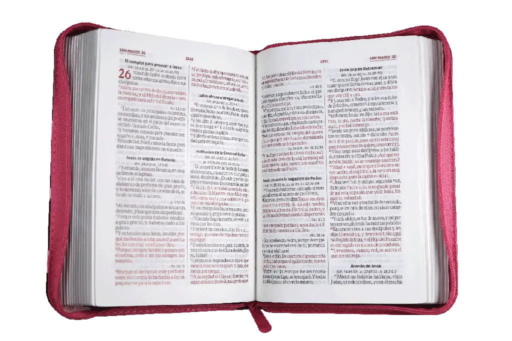 Biblia Reina Valera 1960 Chica Letra Mediana Imitación Piel Fiusha Flores QR [RVR046cZLM PJR].webp