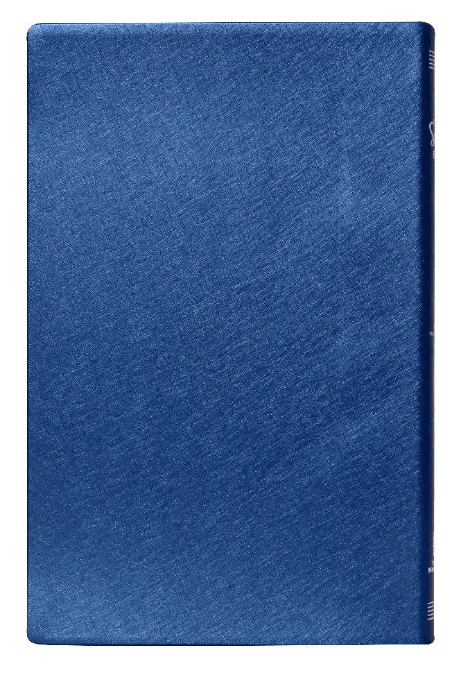 CONTRAPORTADA (13).webp