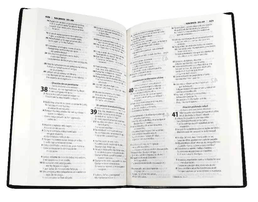 CONTENIDO (10).webp