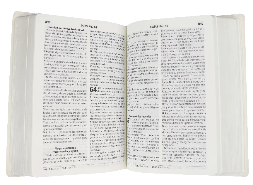 CONTENIDO (11).webp