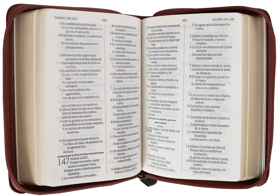 CONTENIDO (12).webp