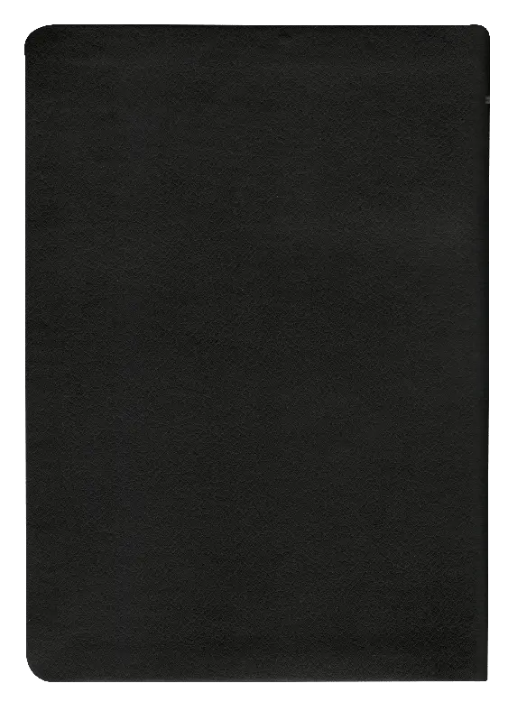 CONTRAPORTADA (15).webp