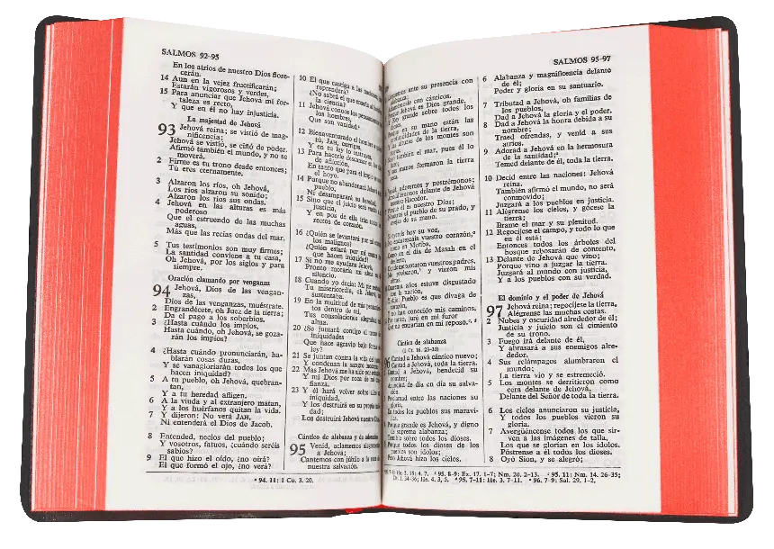 CONTENIDO (13).webp