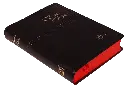 PERFIL (10).webp