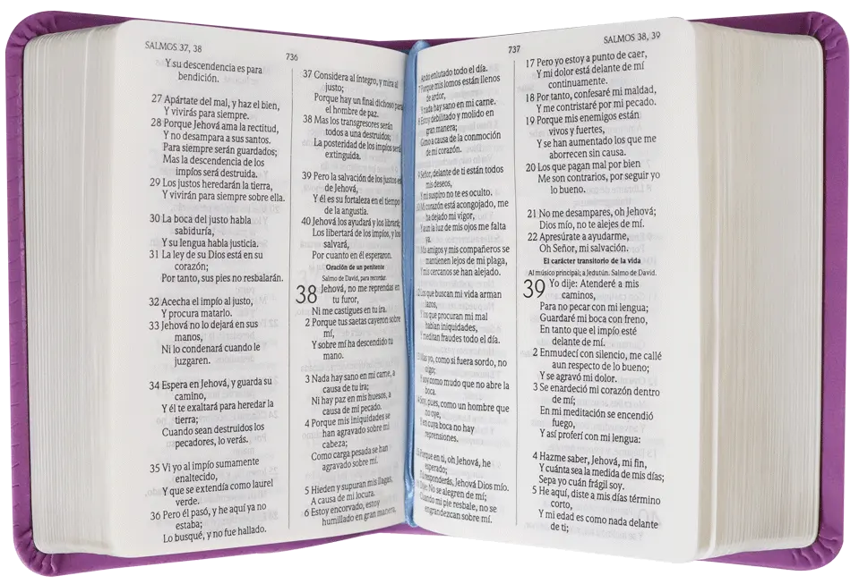 CONTENIDO (14).webp