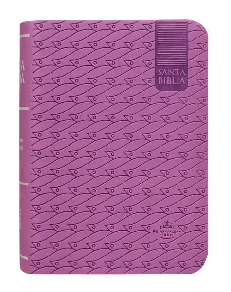 PORTADA (13).webp