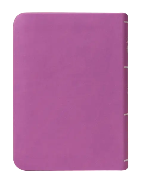 CONTRAPORTADA (16).webp