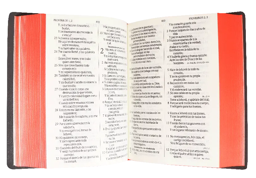 CONTENIDO (15).webp