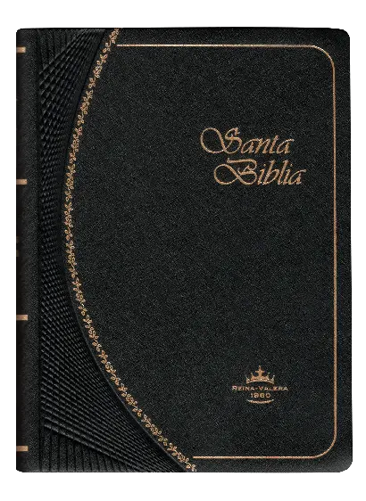 PORTADA (14).webp