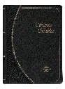 PORTADA (14).webp
