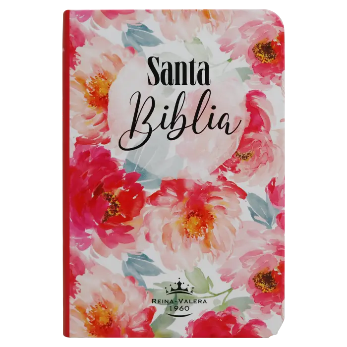 Biblia Reina Valera 1960 Mini Bolsillo Letra Chica Tapa Semiflexible Tapa 7 [RVR (1).webp