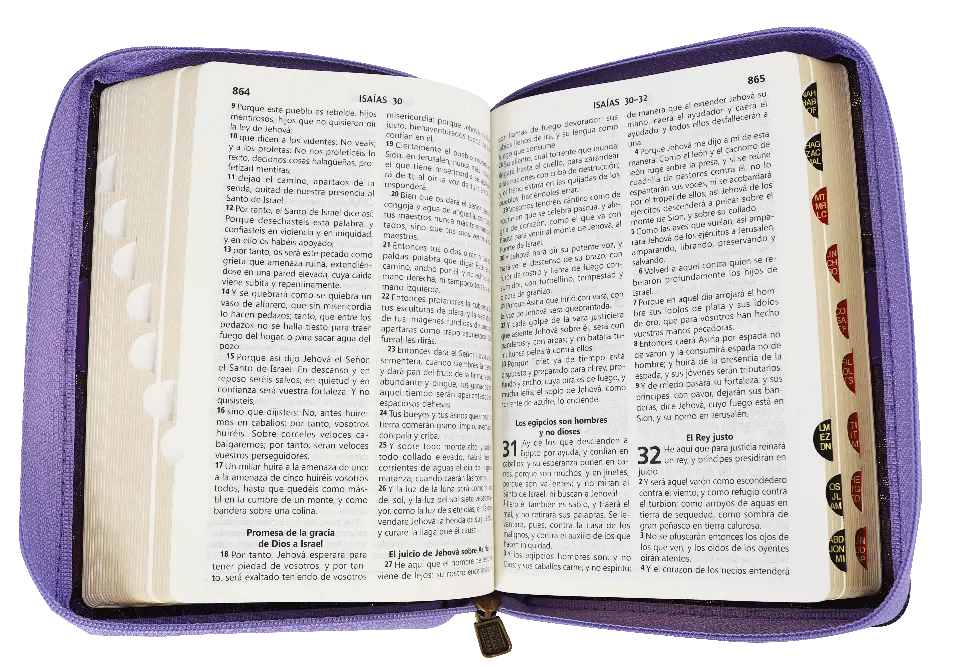 CONTENIDO (17).webp