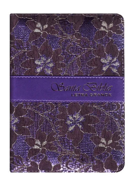 CONTRAPORTADA (19).webp