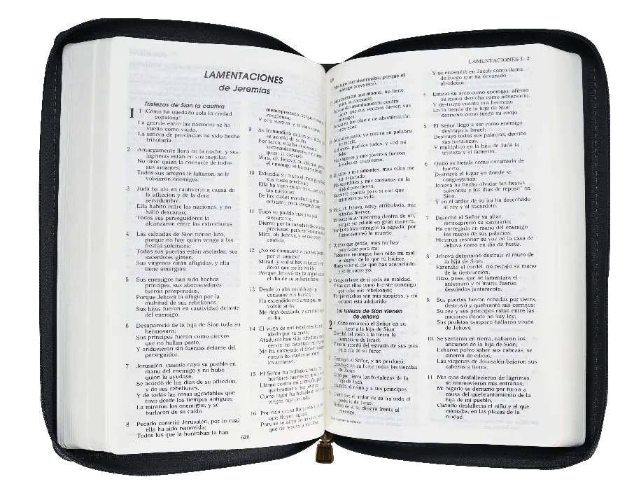 CONTENIDO (18).webp