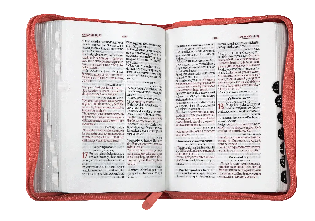 Biblia Reina Valera 1960 Bolsillo Letra Chica Imitación Piel Fucsia QR [RVR026cZTILM PJR].webp