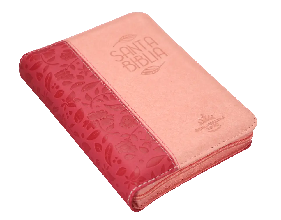 Biblia Reina Valera 1960 Bolsillo Letra Chica Imitación Piel Fucsia QR [RVR026cZTILM PJR] (3).webp
