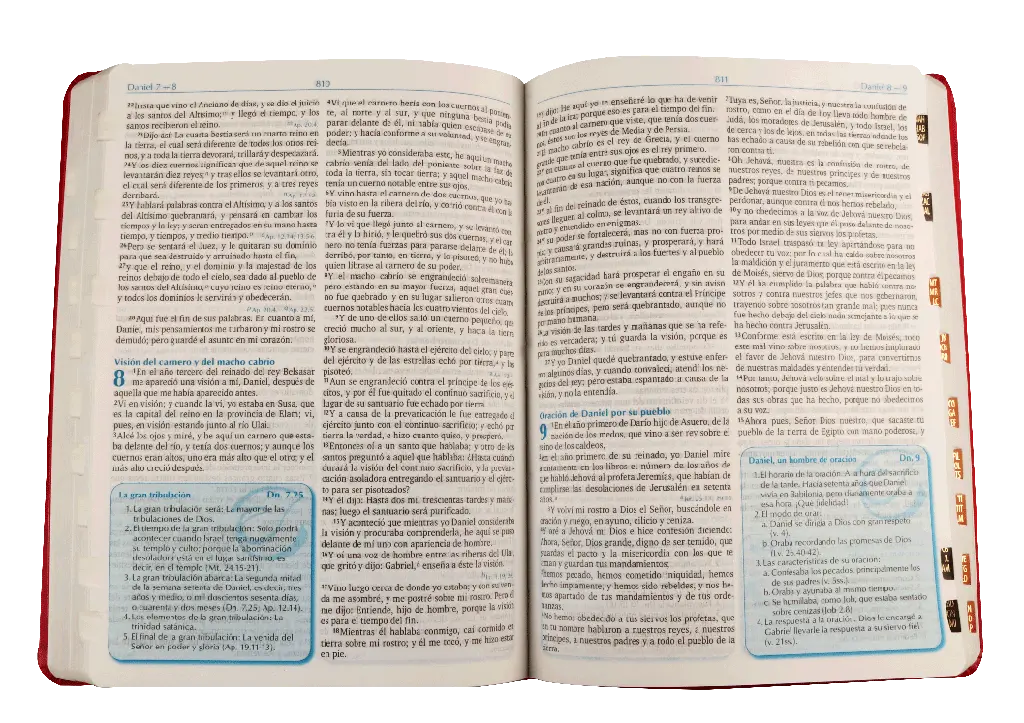 CONTENIDO (19).webp