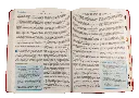 CONTENIDO (19).webp