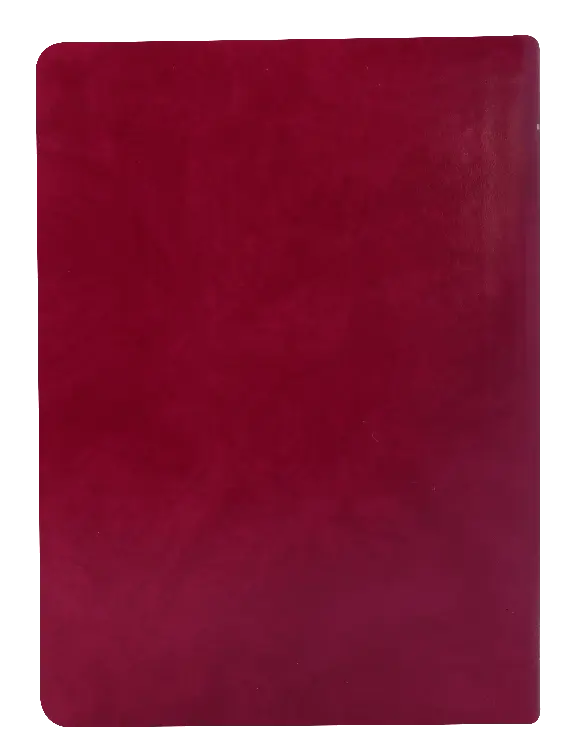 CONTRAPORTADA (21).webp