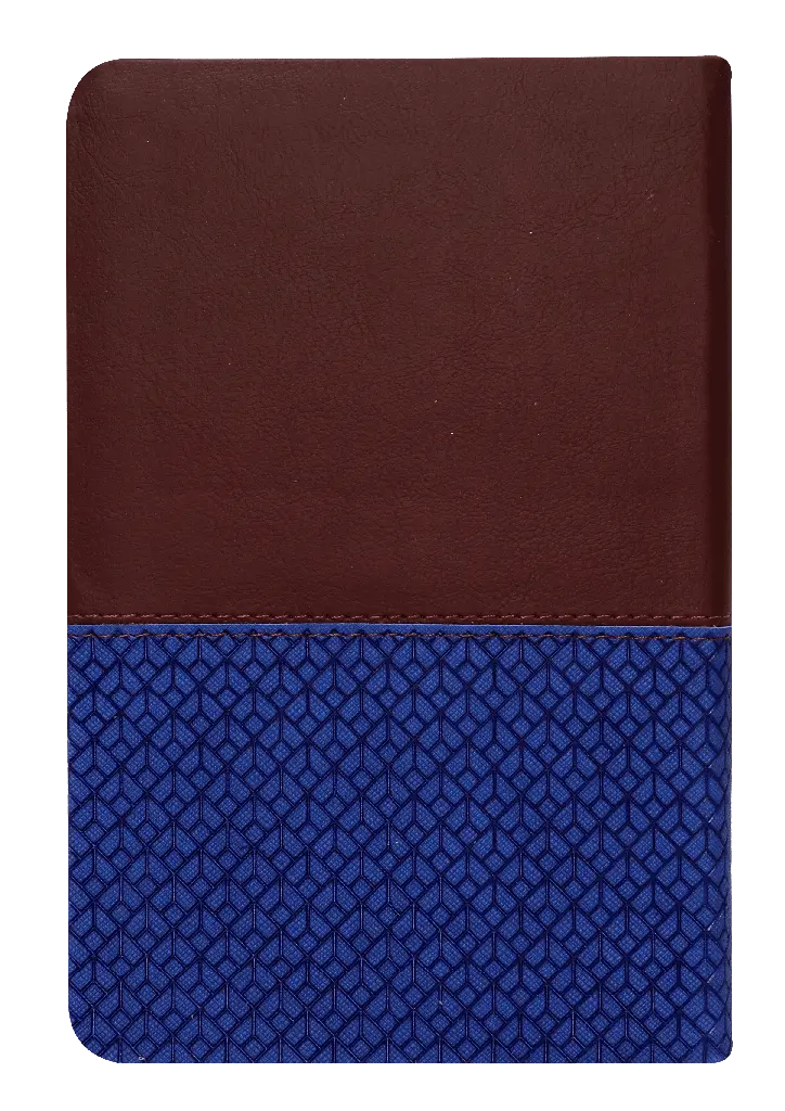 CONTRAPORTADA (22).webp