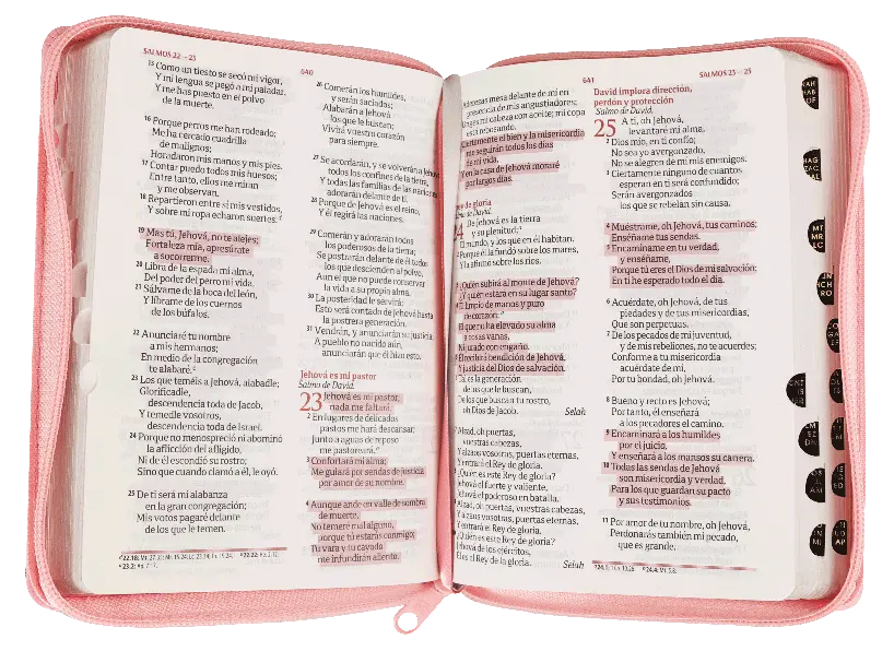 CONTENIDO (21).webp