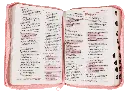CONTENIDO (21).webp