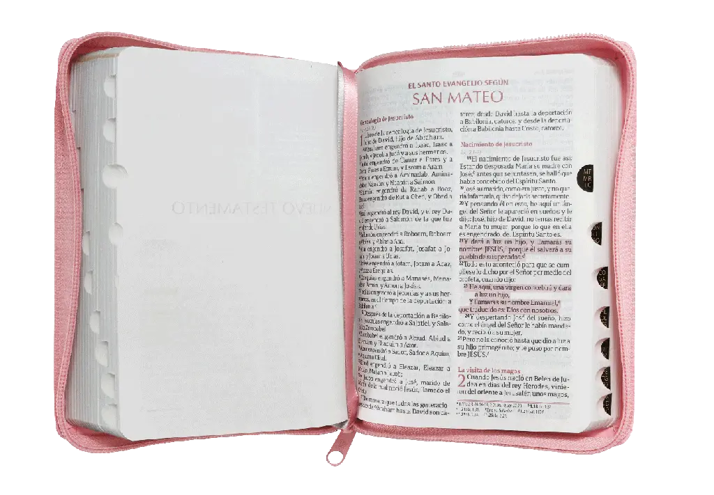 CONTENIDO (22).webp